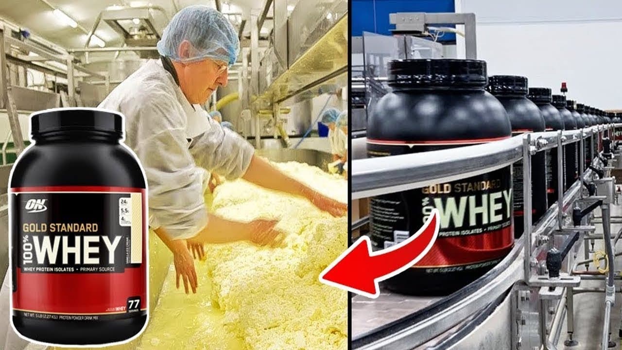 How WHEY PROTEIN is Made In Factories | You Won't Want to Miss This!