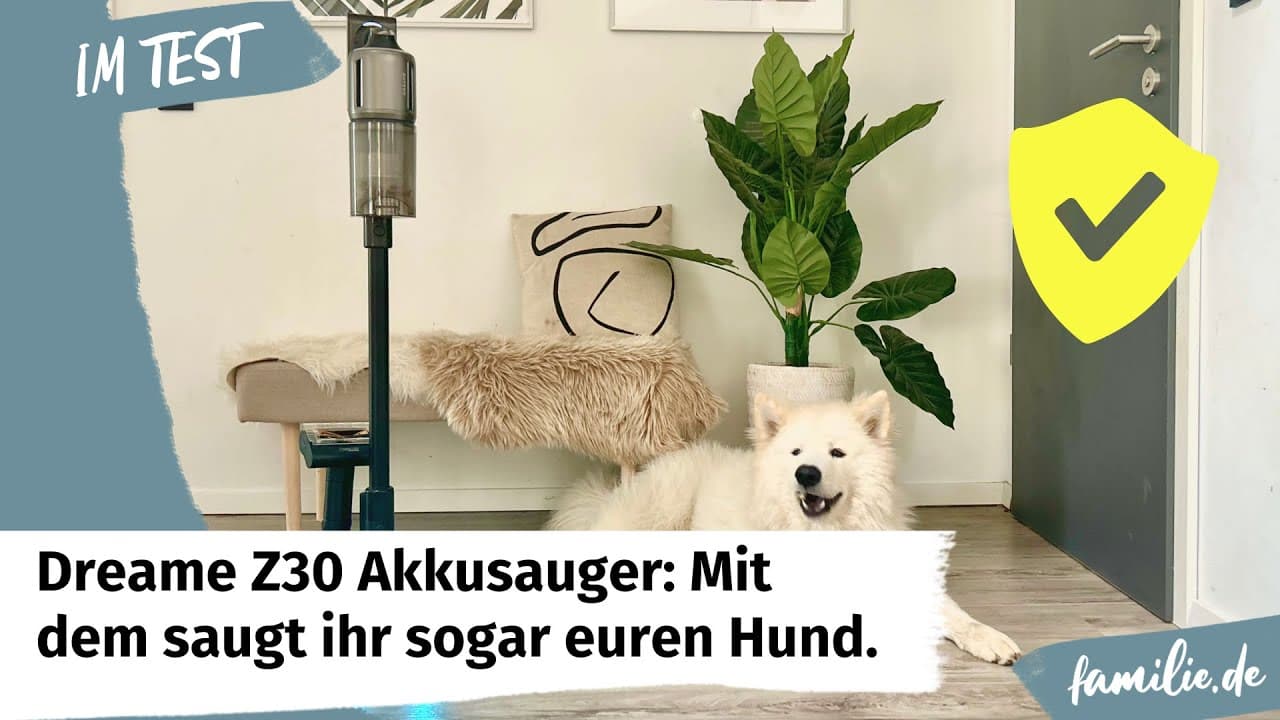 Dreame Z30 Akkustaubsauger im Test - Mit dem saugt ihr sogar euren Hund