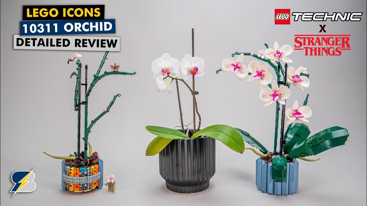 LEGO Technic x Stranger Things - 10311 Orchid detailed review