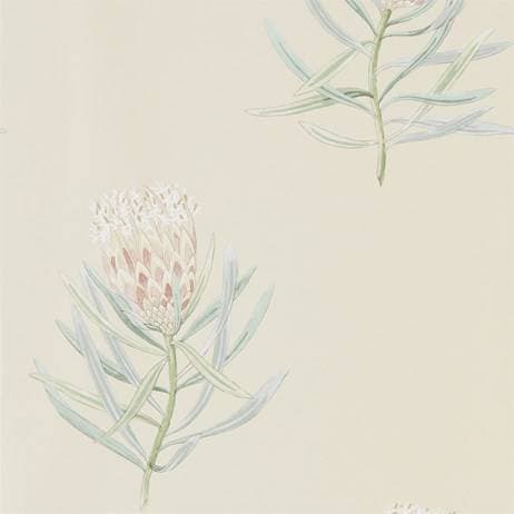 Sanderson Protea Flower - Russet/Green (216329)