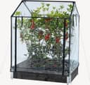 Hortus Greenhouse 211-152 Rostfritt stål Plast
