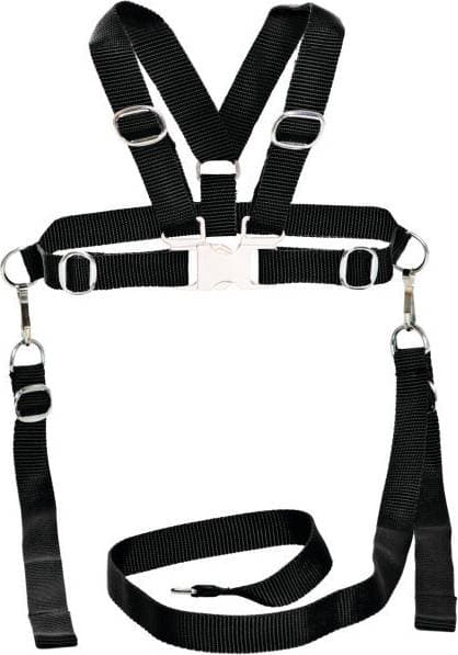 Sunny Baby Harness & Reins
