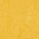 Forbo Marmoleum Click 333251