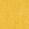 Forbo Marmoleum Click 333251