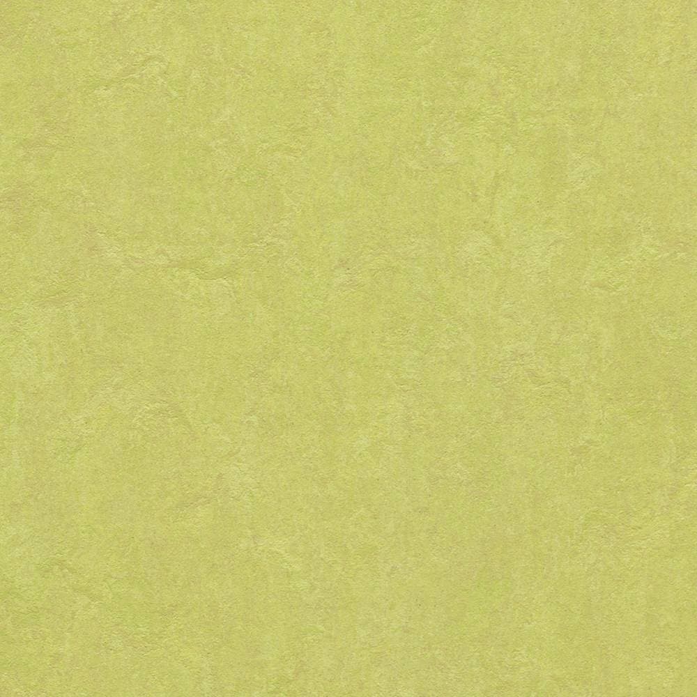 Forbo Marmoleum Click 333885