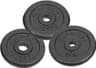 Master Fitness Weight Plate 1.25kg