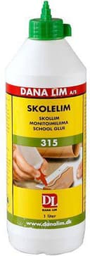 Dana Skollim 1L
