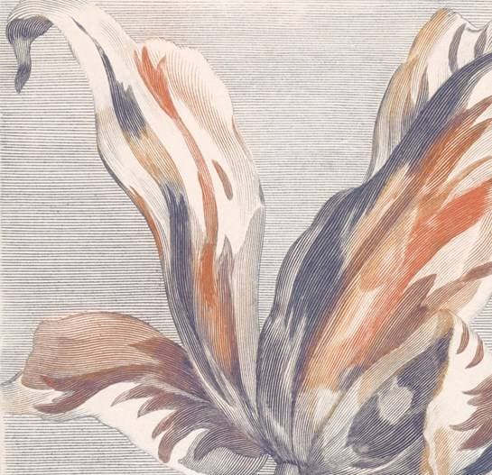 Intrade Masterpiece (358116)