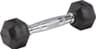 Master Fitness Rubber Chrome Hex Dumbbell 1kg
