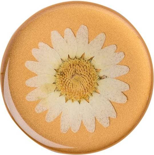 Popsockets Pressed Flower White Daisy