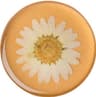 Popsockets Pressed Flower White Daisy