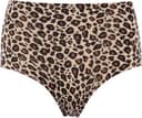 Chantelle Soft Stretch Brief - Leopard Nude