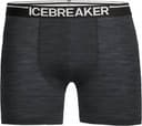 Icebreaker Merino Anatomica Boxers - Jet Heather