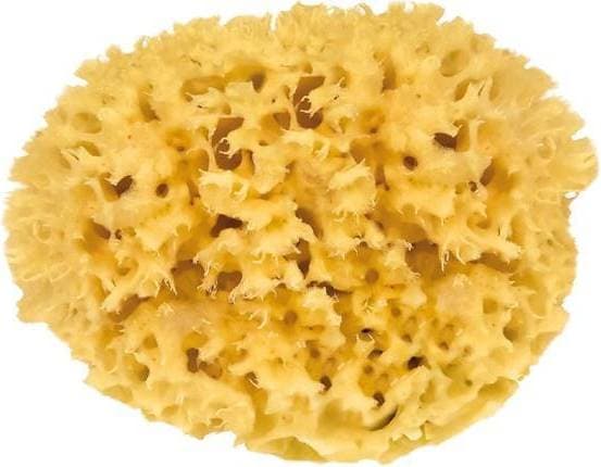 Croll & Denecke Natural Bath Sponge, 13 cm