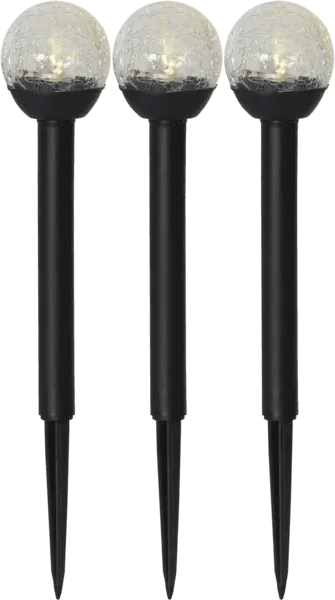 Star Trading Roma Pollare 23cm