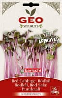 Geo Red Cabbage Seeds