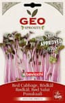 Geo Red Cabbage Seeds