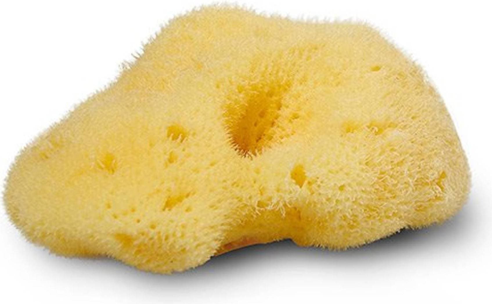 Cocoon Company Natursvamp Silke