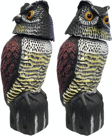 Green>it Owl 91970