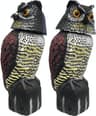 Green>it Owl 91970
