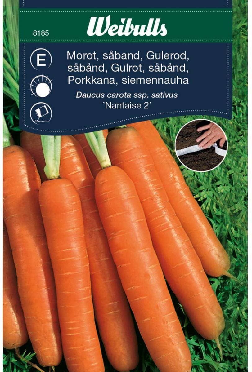 Weibulls Morot Nantaise 2