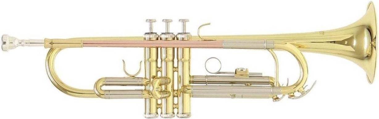 Roy Benson TR-202 Bb