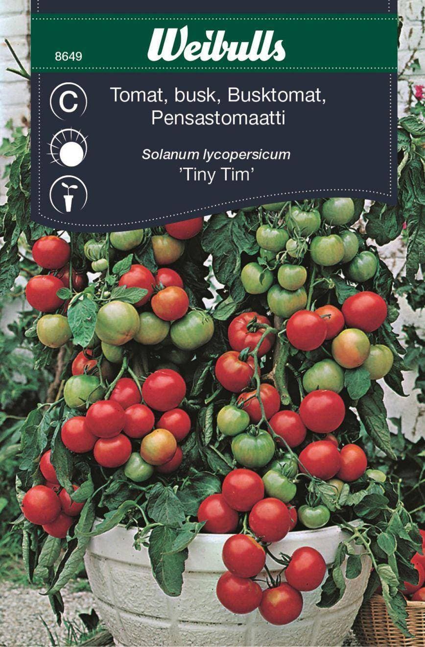 Weibulls Tomat Tiny Tim