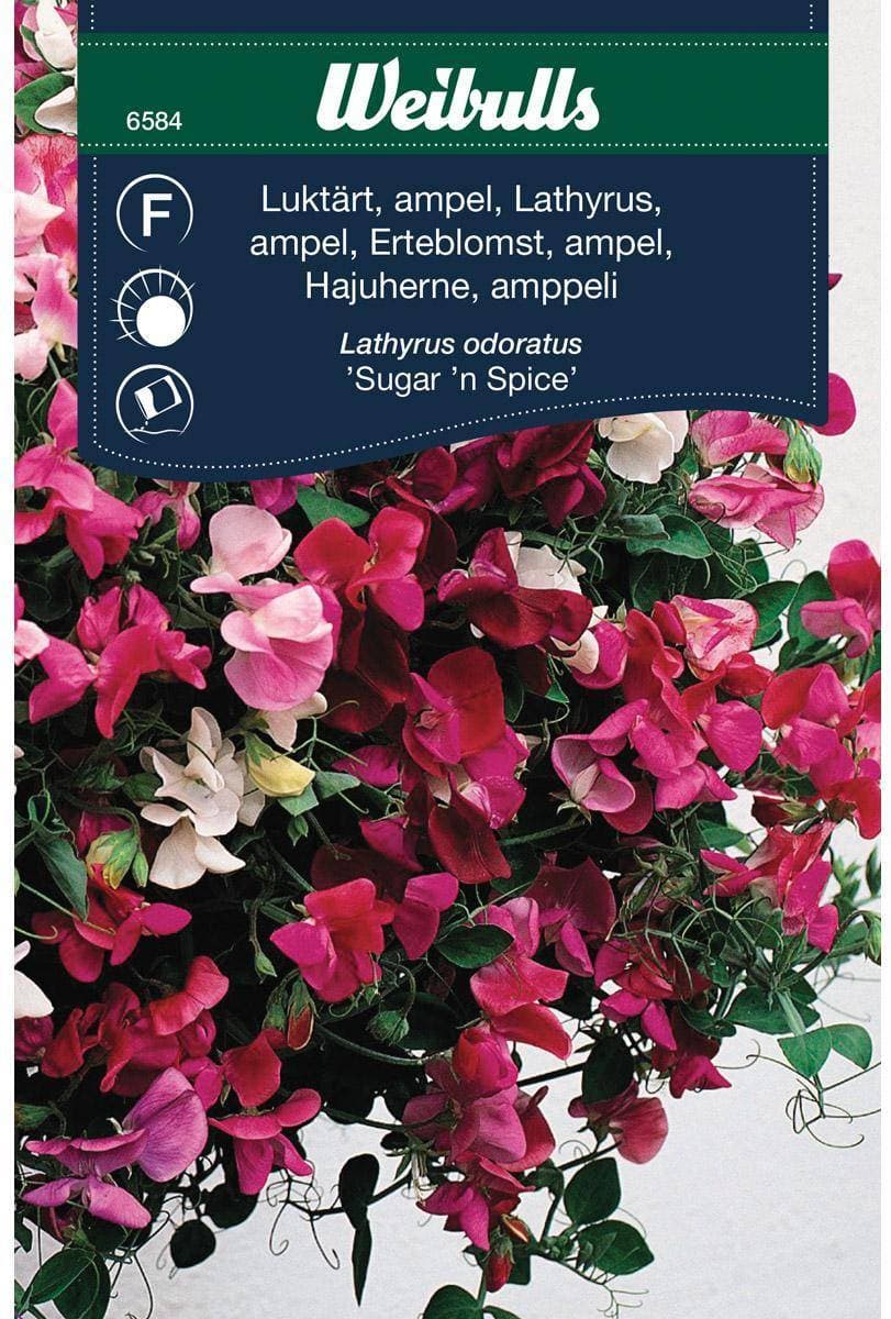 Blomsterfröer