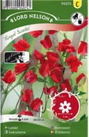 Nelson Garden Luktärt 'Royal Scarlet' frö