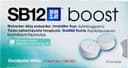 SB12 Boost Eucalyptus White tuggummi 10st