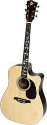 RockOn Clippex Acoustic guitar western model