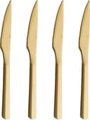 aida Raw Grillkniv 22.5cm 4st