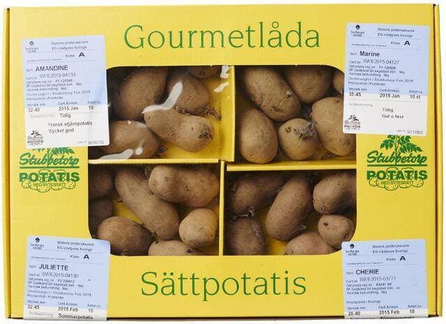 Stubbetorp Sättpotatis Gourmétlådan