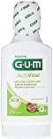 GUM ActiVital bain de bouche 300