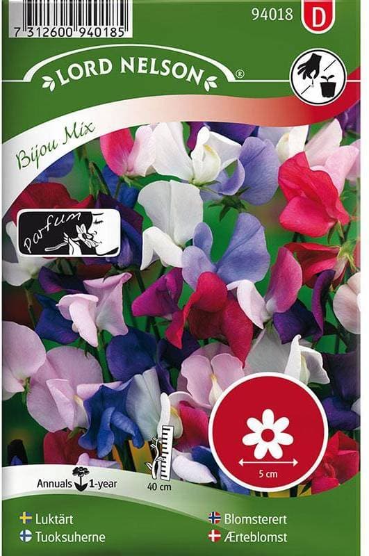 Nelson Garden Luktärt 'Bijou Mix'