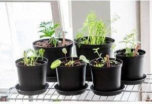 Orthex Planteringskruka Cultivate 12