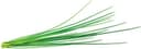 Click and Grow Smart Garden Refill 3-pack