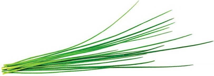 Click and Grow Smart Garden Refill 3-pack