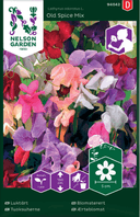 Nelson Garden Luktärt 'Old Spice' Mix