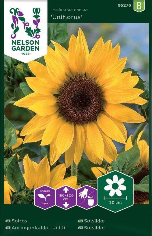 Nelson Garden Jättesolros Hög 'Uniflorus' frö