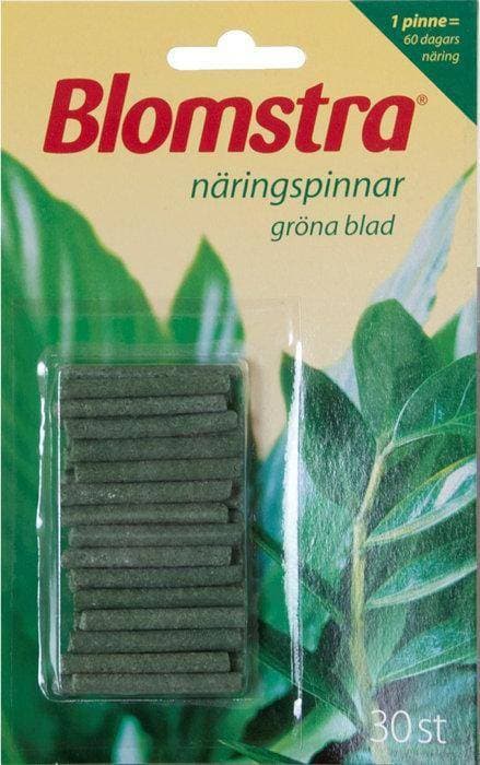 Blomstra Näringspinnar Gröna Växter