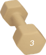 Abilica Dumbbell 3 kg