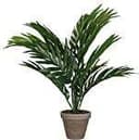 Mica Decorations Areca Palm H45 D60 Konstgjord växt
