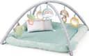 Ingenuity Calm Springs Activity Baby Gym