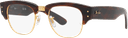 Ray-Ban RB0316V