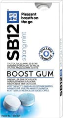 SB12 Boost Strong Mint 10st 1pack