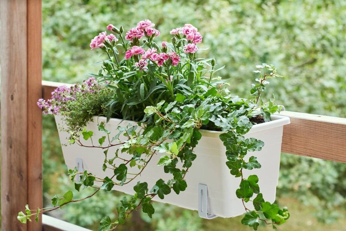 Orthex Basic blomlåda 2,75L vattenmagasin, 55cm