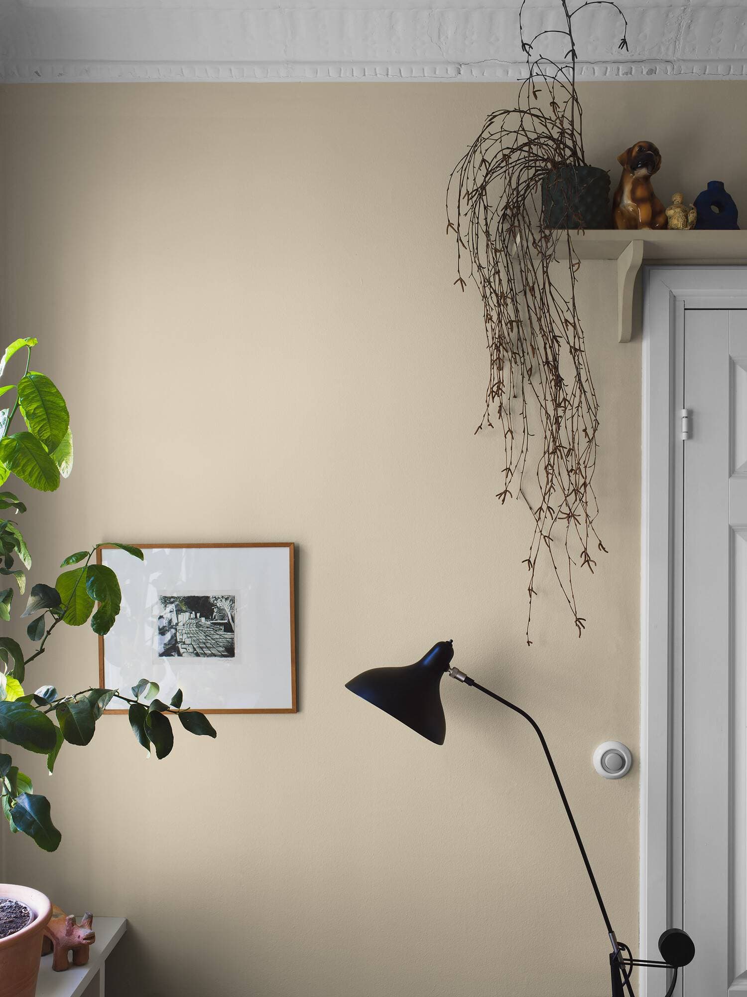 Boråstapeter Sorbet Yellow 7555