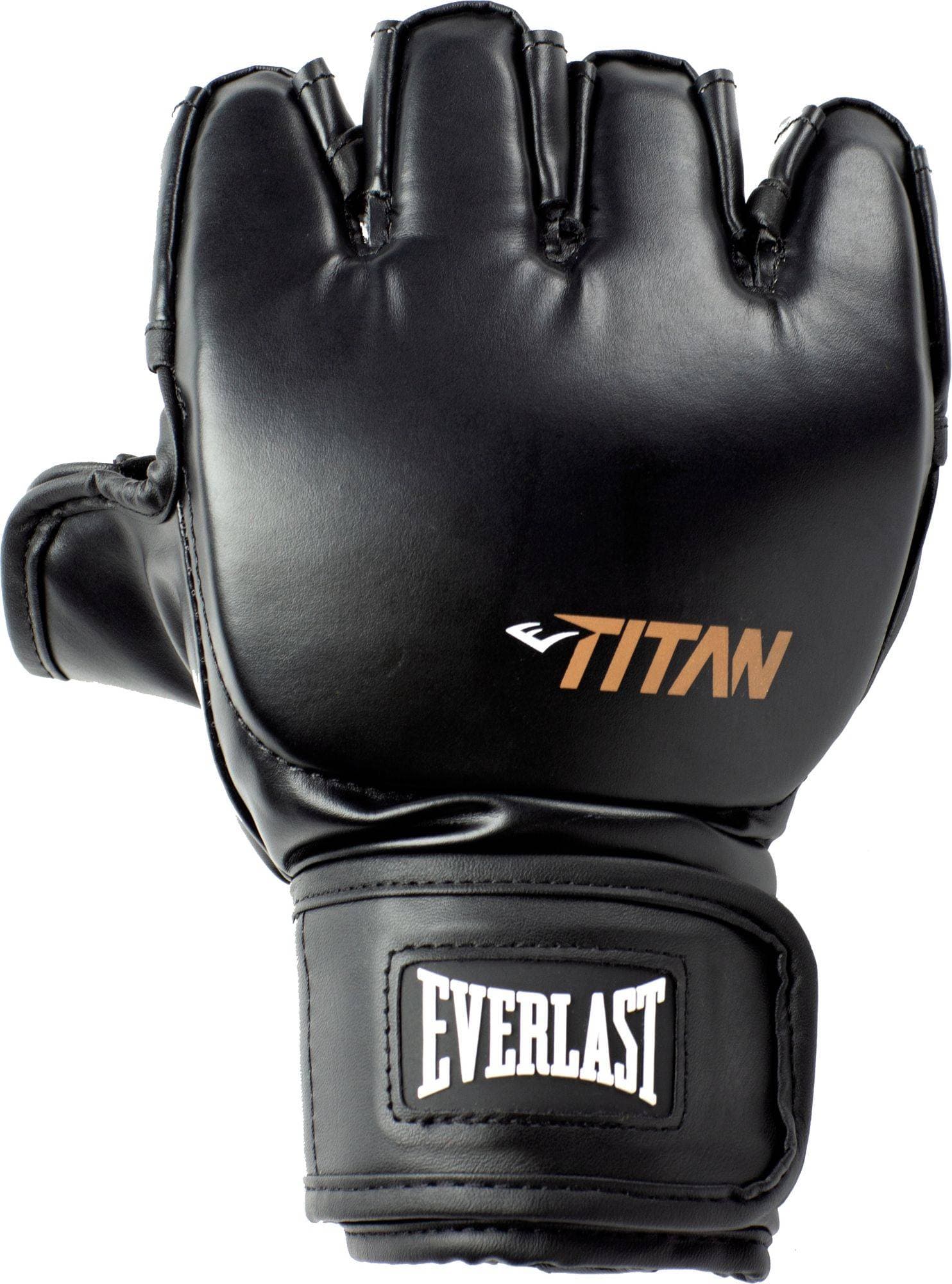 Everlast Titan MMA Handskar