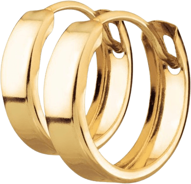 Albrekts Guld Earrings - Gold